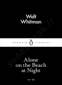 Alone on the Beach at Night thumb 2 1