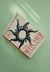 The Tower of Swallows (The Witcher, 6) thumb 1 3
