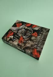 A Shadow in the Ember (Flesh and Fire 1) thumb 1 3