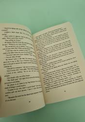 Loving the Liar (Silver Falls University 1) thumb 1 5