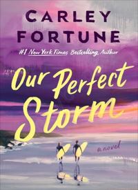 Our Perfect Storm thumb 2 1