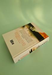 Elantris Elantris thumb 2 5