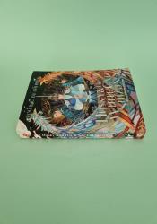 The Husky and His White Cat Shizun Vol. 9 thumb 1 4