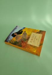 Emily Climbs (The Emily Trilogy Book 2) thumb 1 3