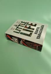 A Little Life thumb 2 3
