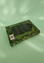 Realm of Wind and Vines (Flame and Thorns Book 4) Realm of Wind and Vines (Flame and Thorns Book 4) thumb 2 4