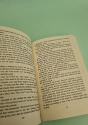Burning Crowns (Twin Crowns Book 3) thumb 1 5