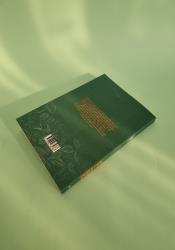 Holly: A Belladonna Novella thumb 1 5