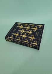 Great Expectations Great Expectations thumb 2 3