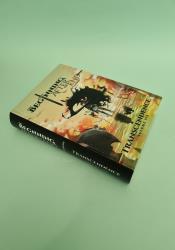 The Beginning After The End: Transcendence, Book 6 thumb 2 3