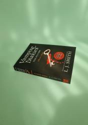 The Vampire Diaries The Return: Shadow Souls Book 6 thumb 1 3