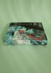 Hollow (Crown of Hearts and Chaos Book 1) thumb 2 4