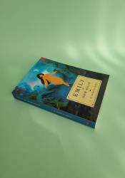 Emily of New Moon (The Emily Trilogy Book 1) thumb 1 3