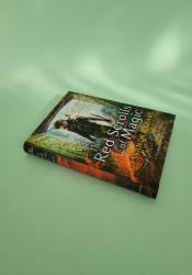 The Red Scrolls of Magic (The Eldest Curses 1) thumb 1 3