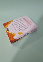 Iron Gold (Red Rising 4) Iron Gold (Red Rising 4) thumb 2 5