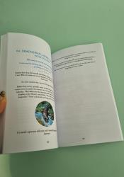 Zen: The Art of Simple Living thumb 1 7