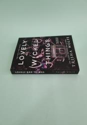 Lovely Wicked Things (Hollow's Row Book 3) thumb 1 4