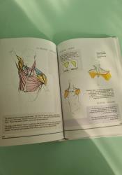 Figure Drawing: Design and Invention thumb 1 8