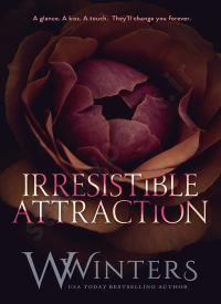 Irresistible Attraction (Merciless World Series Book 2)