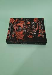 The Bond That Burns (Bloodwing Academy Book 2) thumb 1 4