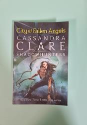 City of Fallen Angels (The Mortal Instruments, Book 4) thumb 1 2