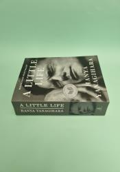A Little Life thumb 2 4