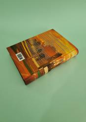 Caught Up: Windy City Book 3 thumb 1 5