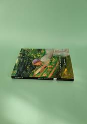 Summer Summer thumb 2 4