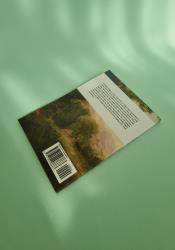 The Broken Wings The Broken Wings thumb 2 5