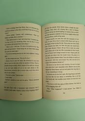 Red Rising Book 1 thumb 2 6