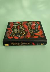 A Strange and Stubborn Endurance (The Tithenai Chronicles 1) thumb 2 4