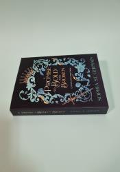 A Promise so Bold and Broken (Compelling Fates Saga 2) thumb 1 4