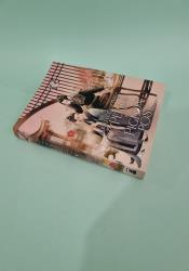 You've Got Mail: The Perils of Pigeon Post - Fei Ge Jiao You Xu Jin Shen (Novel) Vol. 1 thumb 1 3