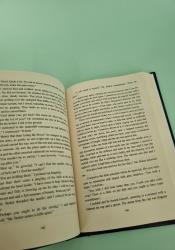 A Curious Beginning (Veronica Speedwell 1) thumb 1 7