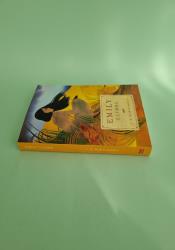 Emily Climbs (The Emily Trilogy Book 2) thumb 1 4